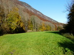 Herbstwald am Holzstaufen von der Nonner Au aus gesehen.